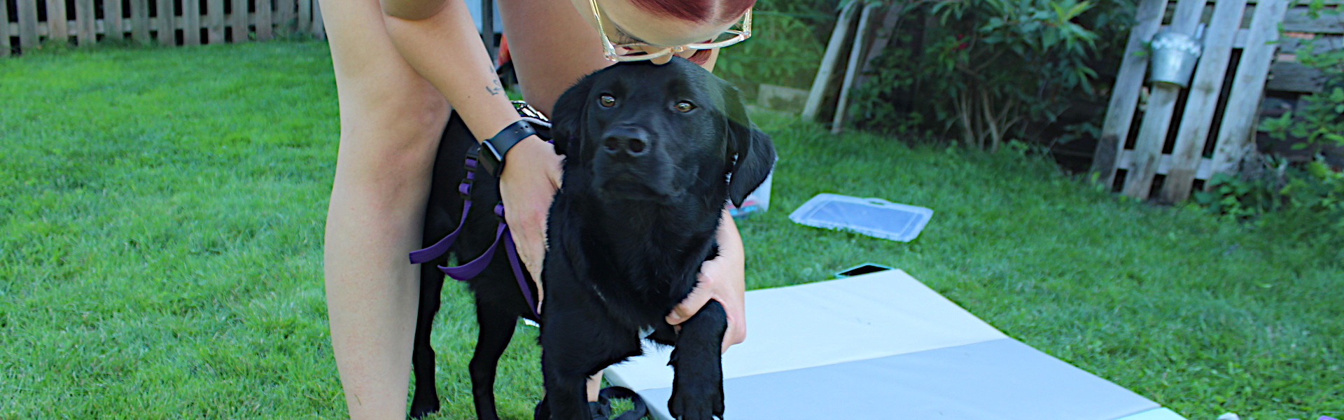 Leonie_Baumgärtner_Tierphysio_Happy_Pets_Diashow_Hund_1